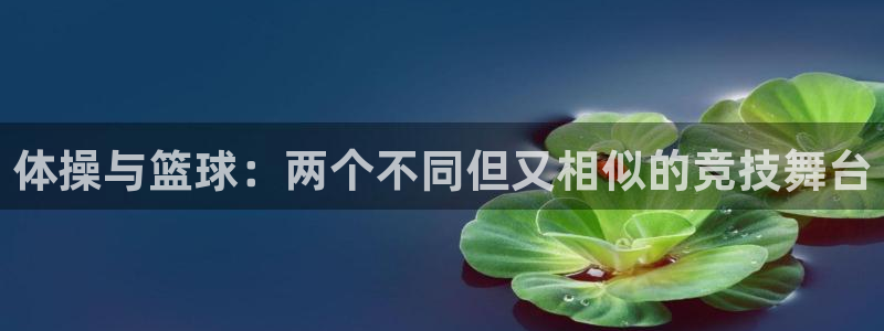 谈球吧：体操与篮球：两个不同但又相似的竞技舞台
