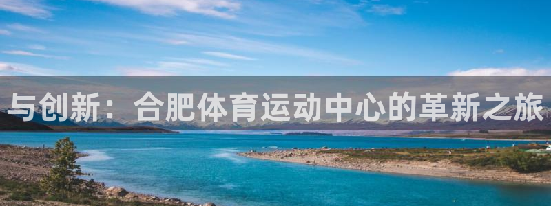 谈球吧体育：与创新：合肥体育运动中心的革新之旅