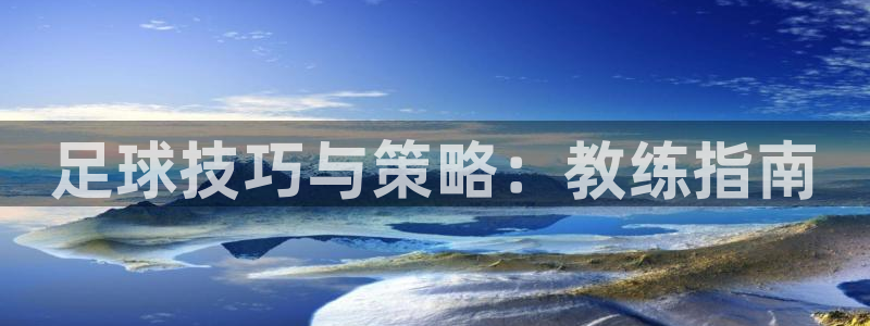 谈球吧：足球技巧与策略：教练指南