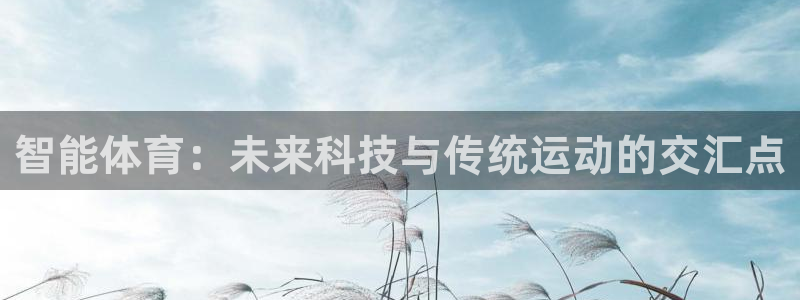 谈球吧体育：智能体育：未来科技与传统运动的交汇点