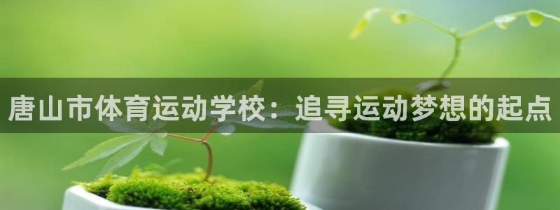 谈球吧：唐山市体育运动学校：追寻运动梦想的起点