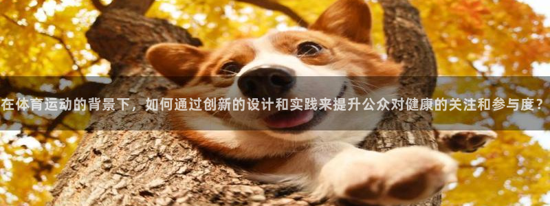 谈球吧体育：在体育运动的背景下，如何通过创新的设计和实践来提升公众对健康的关注和参与度？