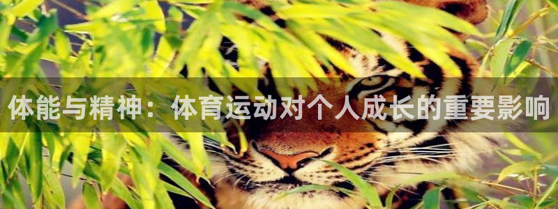 谈球吧：体能与精神：体育运动对个人成长的重要影响