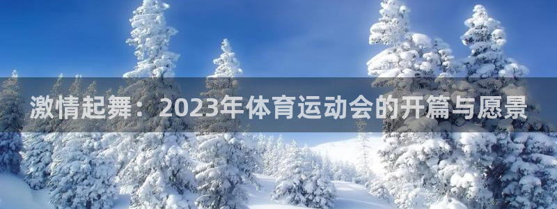 谈球吧：激情起舞：2023年体育运动会的开篇与愿景
