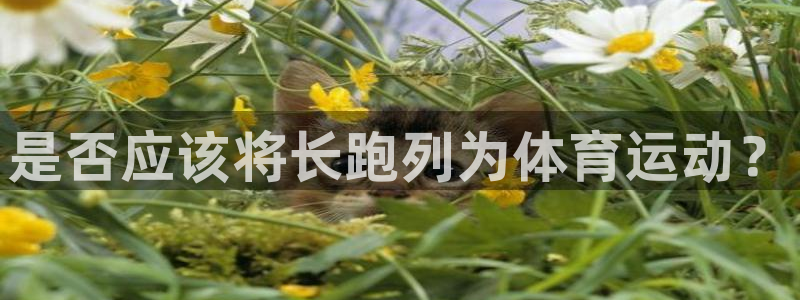谈球吧：是否应该将长跑列为体育运动？