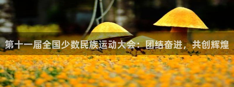 谈球吧体育官网：第十一届全国少数民族运动大会：团结奋进，共创辉煌