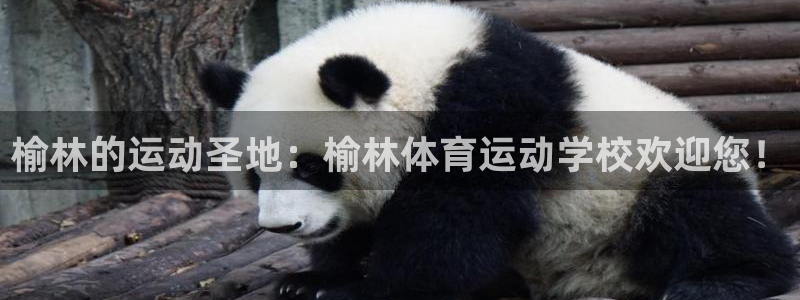 谈球吧：榆林的运动圣地：榆林体育运动学校欢迎您！