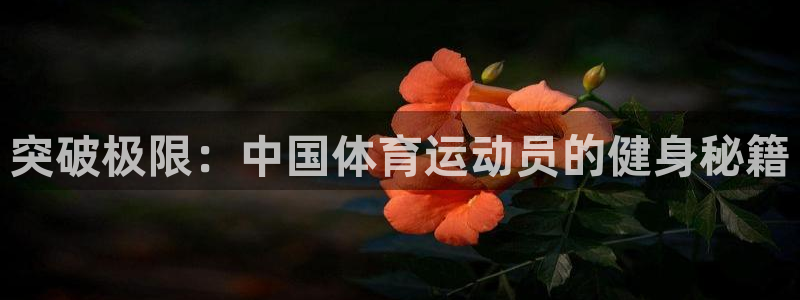 谈球吧：突破极限：中国体育运动员的健身秘籍