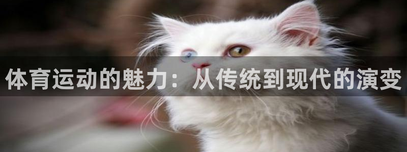 谈球吧体育官网：体育运动的魅力：从传统到现代的演变